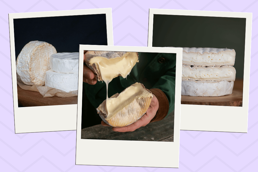 Soft cheese – British classics for spreading, melting & savouring