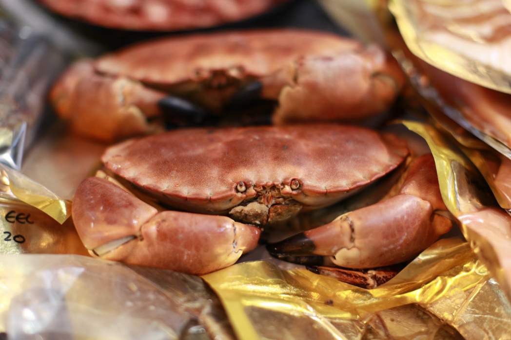 Image for blog - How to Cook with Brown Crab