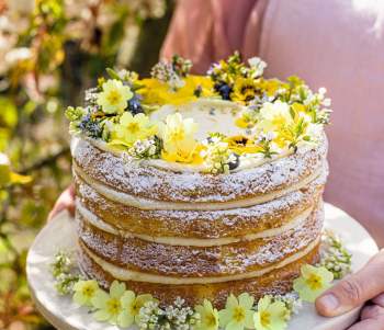 Image for recipe - Primrose & Lemon Layer Cake