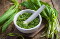 Image For Feature - How to Cook with Wild Garlic