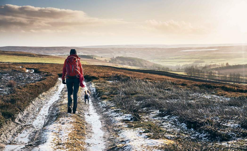Image for blog - 7 of the best winter walks for January