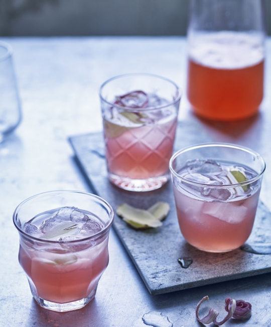 Image for Recipe - Fiona Beckett’s Rhubarb Cordial