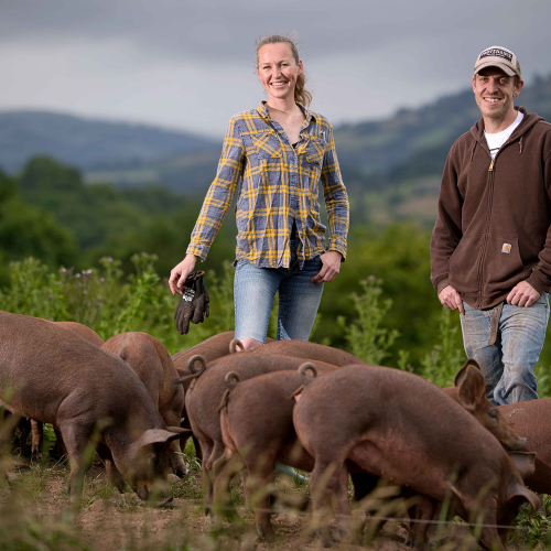 Image for blog - 10 of the best ethical meat producers