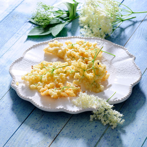 Image for blog - How to Cook with Elderflower