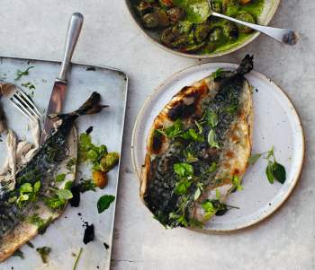 Image for recipe - Grilled Mackerel with Parsley Salsa