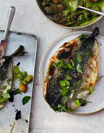 Image for blog - Grilled Mackerel with Parsley Salsa