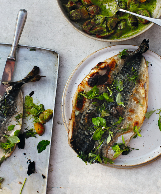 Image for Recipe - Grilled Mackerel with Parsley Salsa