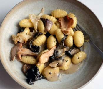 Image for recipe -  Potato Gnocchi, Truffle Butter & Wild Mushrooms
