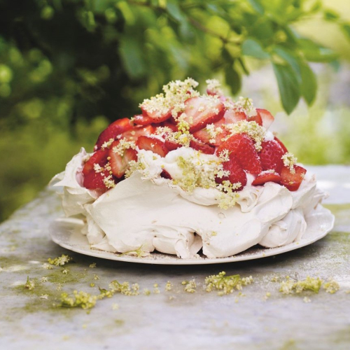 Image for blog - How to Cook with Elderflower