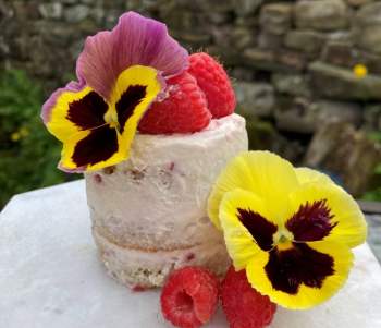 Image for recipe - Mini Raspberry Ripple Ice Cream Layer Cakes