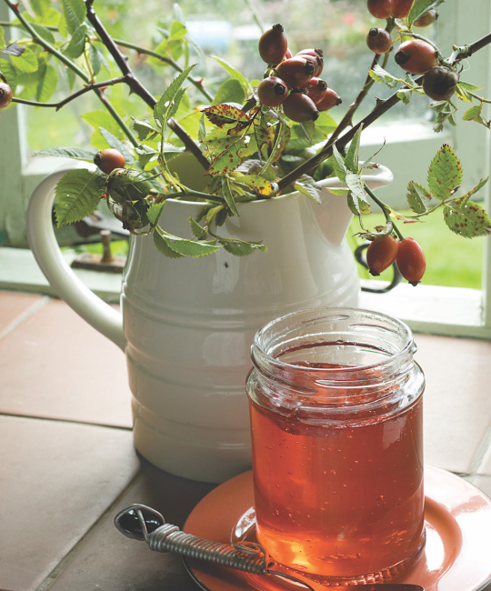 Image for Recipe - Rosehip Jelly