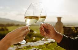 Image for blog - 11 English wines to try this English Wine Week