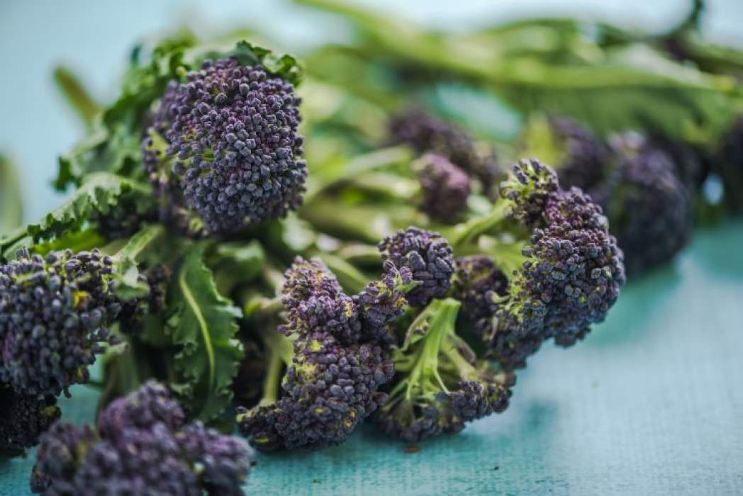Image for blog - Borough Market Diaries: Purple Sprouting Broccoli in March