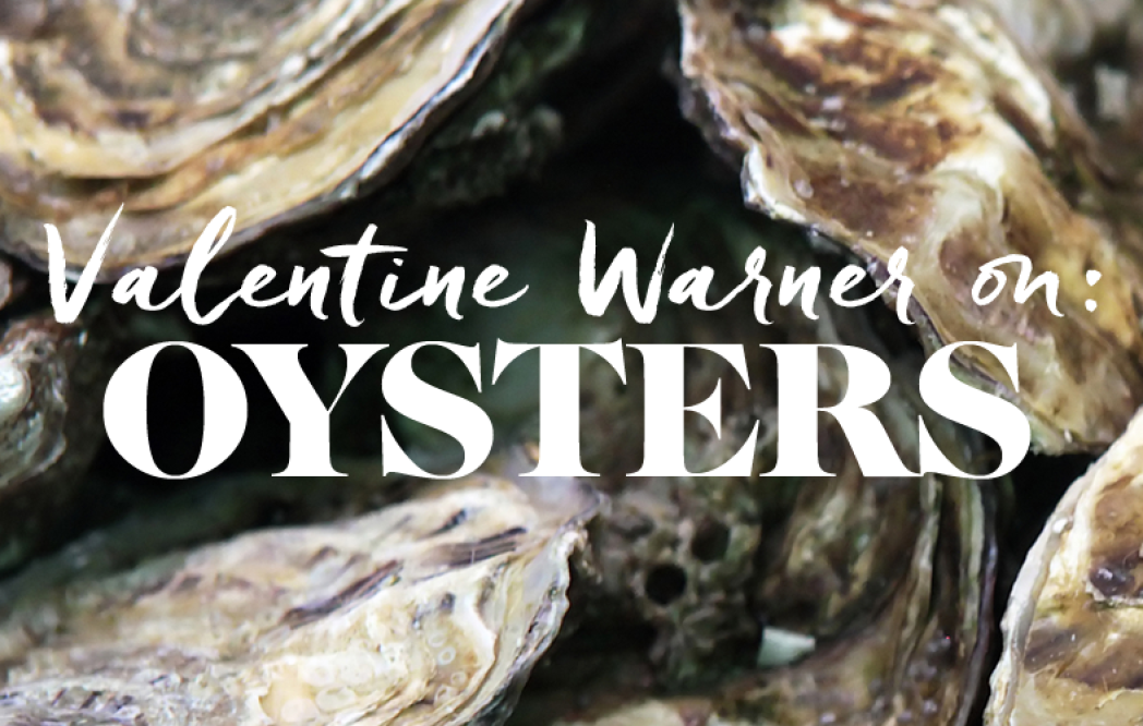 Image for blog - Valentine Warner: Why I Can’t Get Enough of British Oysters
