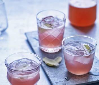 Image for recipe - Fiona Beckett’s Rhubarb Cordial