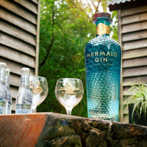 Image for blog - The best British gins for summer entertaining
